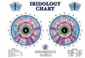 Chart to Iridology